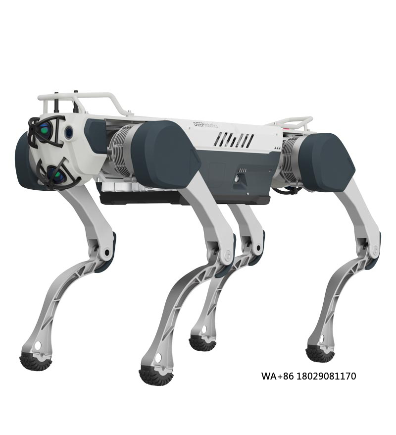 Robot Remote Control - Logrando la inteligencia artificial para educación